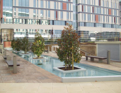 bassin piscine massy