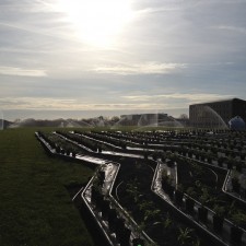 photo toiture végétalisée champs sur marne