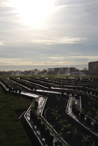 photo toiture végétalisée champs sur marne