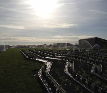 photo toiture végétalisée champs sur marne