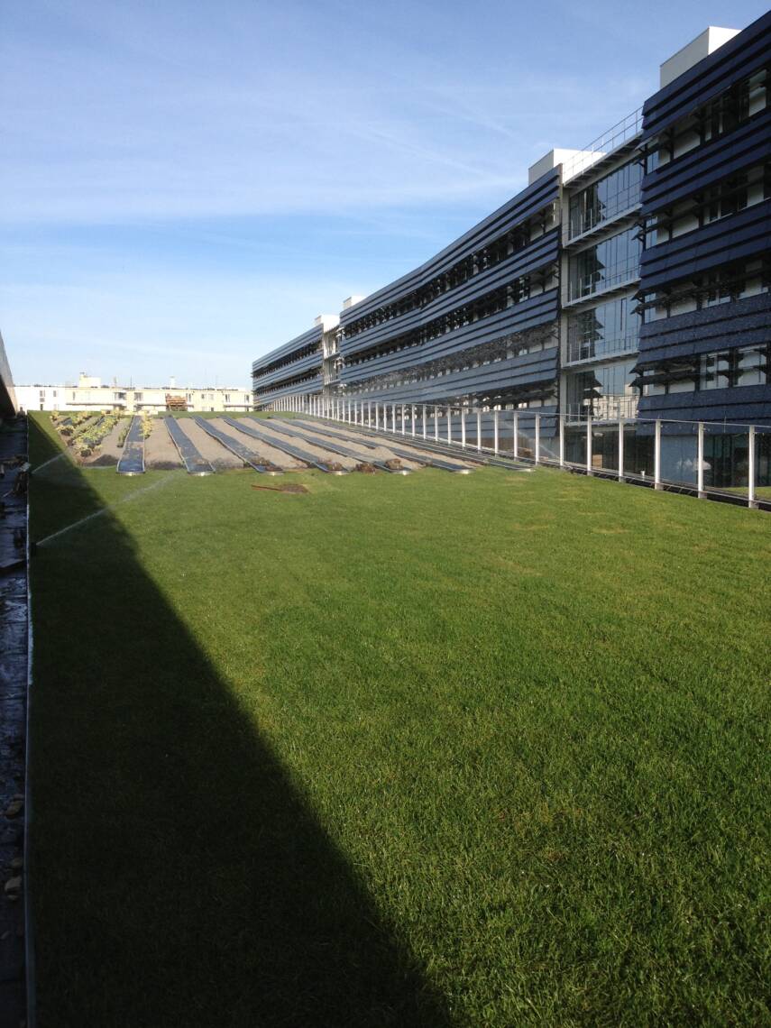 photo toiture végétalisée champs sur marne