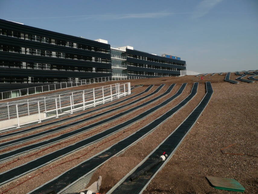 photo toiture végétalisée champs sur marne