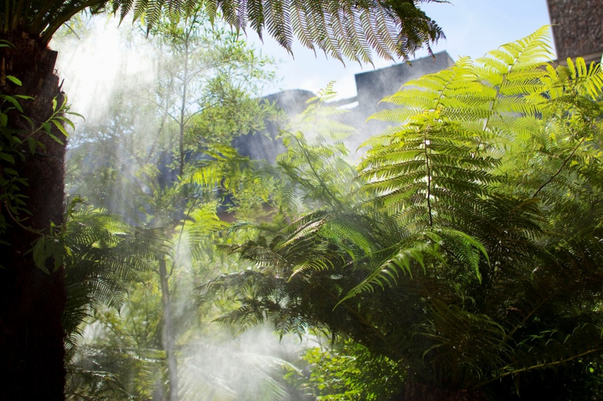 Brumisation dans le jardin de l'hôtel