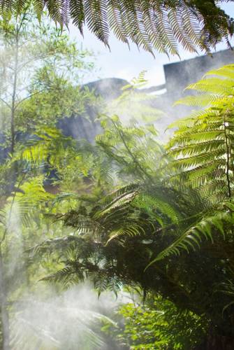 Brumisation dans le jardin de l'hôtel