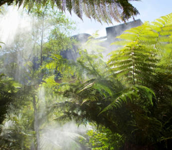 Brumisation dans le jardin de l'hôtel