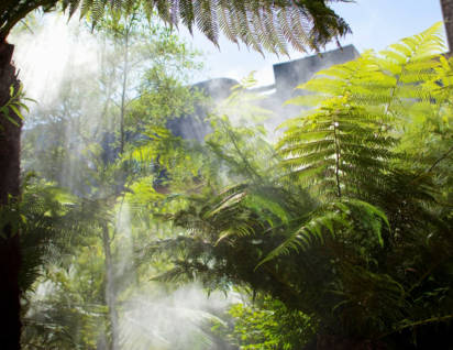 Brumisation dans le jardin de l'hôtel