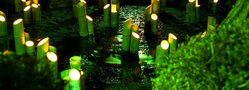 éclairage led dans un bassin