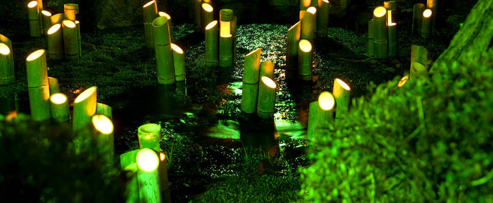 De la LED dans nos jardins