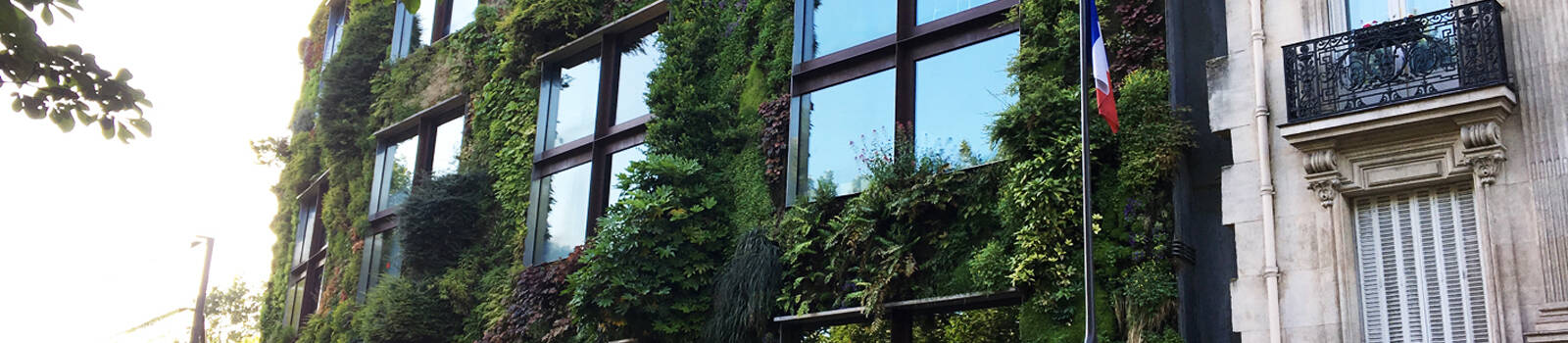 Le mur végétalisé du Quai Branly