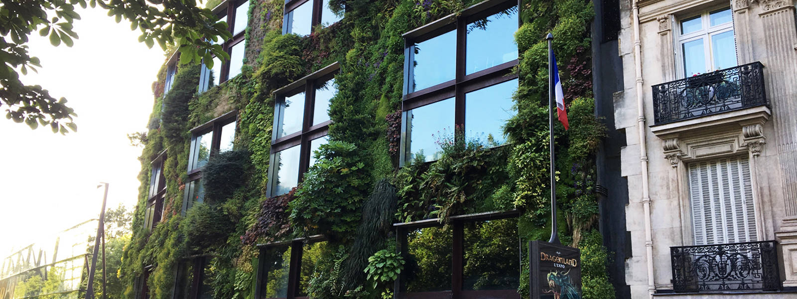 Le mur végétalisé du Quai Branly
